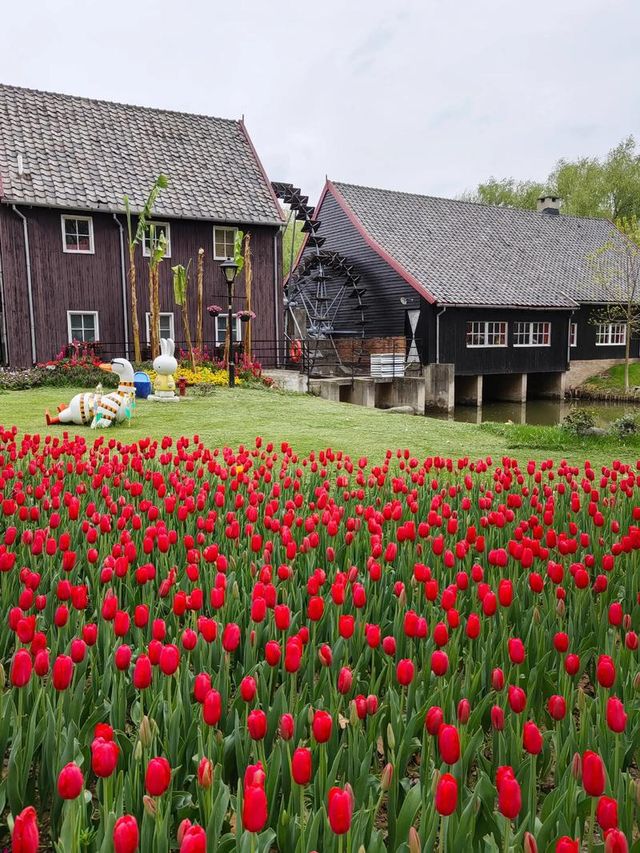 【南京綠博園大揭秘！你不知道的隱藏寶藏，絕對讓你驚喜連連！】 大家好，我是你們的旅遊探秘小達人