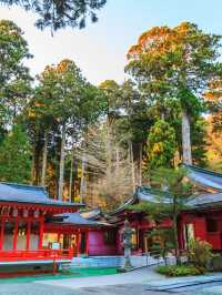 日本1日包車遊省心又盡興