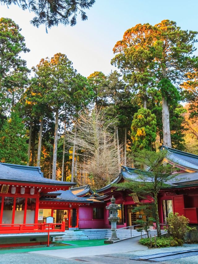 日本1日包車遊省心又盡興 日本1日包車遊省心又盡興