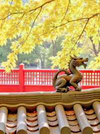 甘肅私藏！天水才是絲路真寶藏，彩林+千年人文美到失語