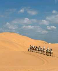 沙漠騎駝走天涯
