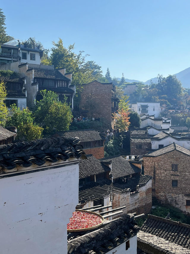 婺源篁嶺曬秋絕絕子手機拍到斷電哭著求饒