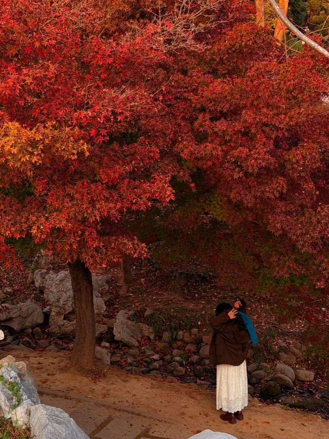 青島，藏匿著愜意的街景