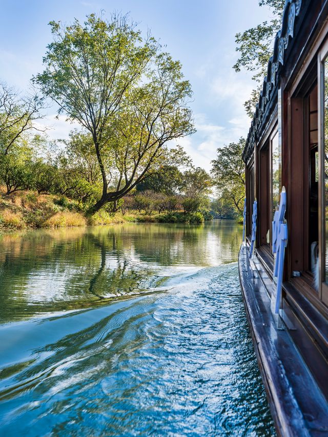 杭州秋日天花板|西溪濕地秋蘆飛雪懶人攻略