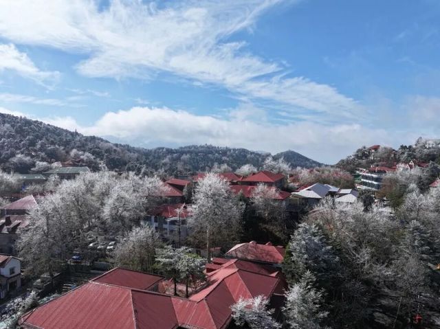 廬山霧淞初現，秋冬同框如童話