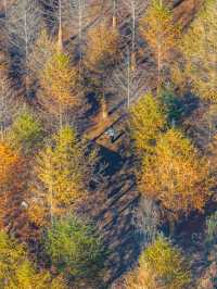 江浙滬這座寶藏樂園！已經被這裡動物萌化了