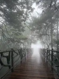 [11.05]跌宕起伏的張家界森林公園·攻略參考