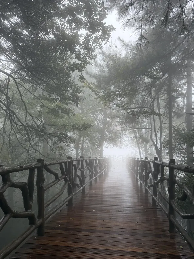 [11.05]跌宕起伏的張家界森林公園·攻略參考