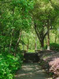 長沙散步天花板!住豪生步行去月湖,晚風+燈光美到不想走!