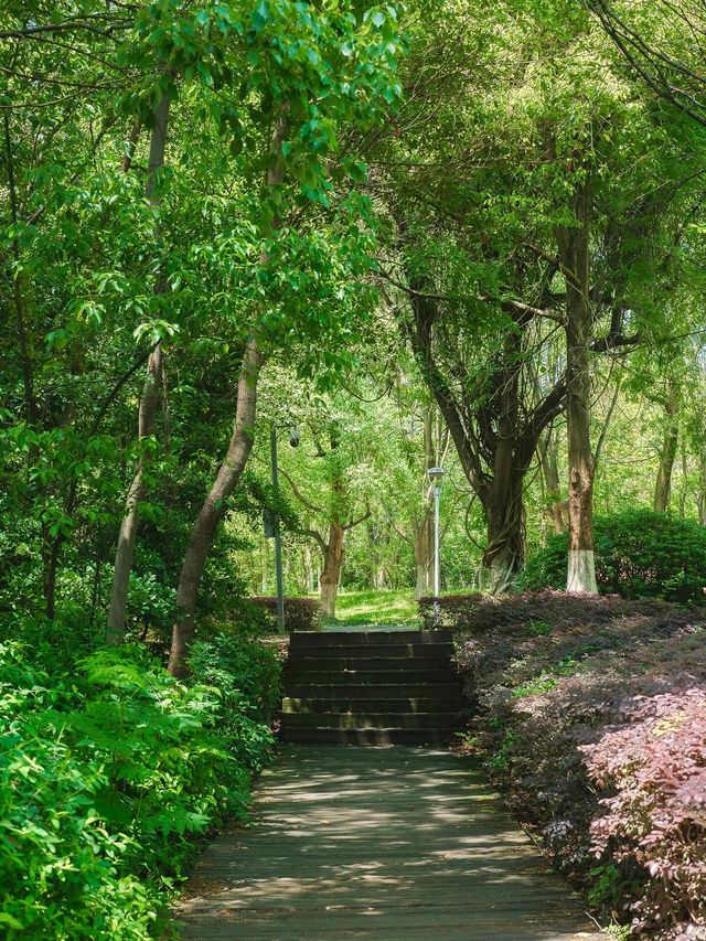 長沙散步天花板!住豪生步行去月湖,晚風+燈光美到不想走! 長沙散步天花板!住豪生步行去月湖,晚風+燈光美到不想走!