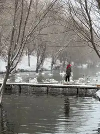 伊犁的雪是裹著蘋果香的浪漫-7天6晚攻略