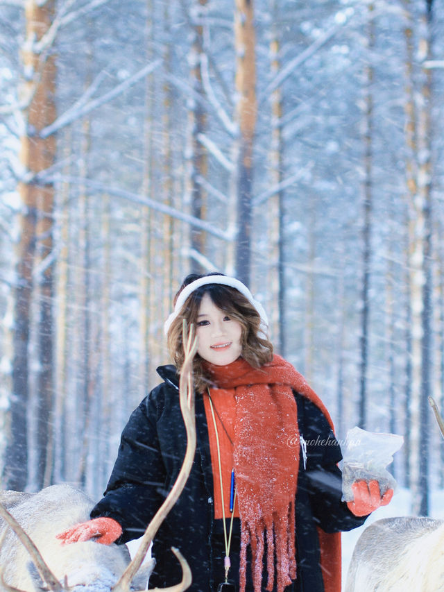 !漠河3天2晚小團把浪漫焊死在冬天裡 !漠河3天2晚小團把浪漫焊死在冬天裡