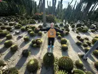 廈門植物園鐘鼓索道懶人版