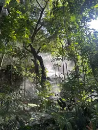 廈門植物園保姆級攻略 | 附最美拍照點