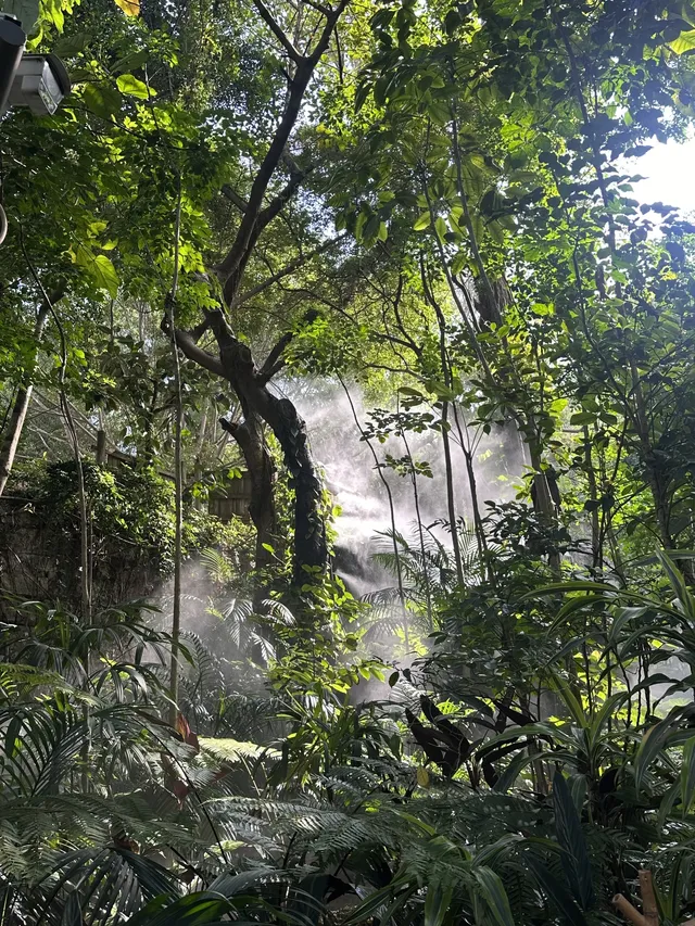 廈門植物園保姆級攻略 | 附最美拍照點