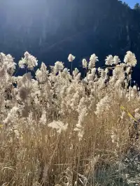 秦皇島11月20號董家長城環線徒步