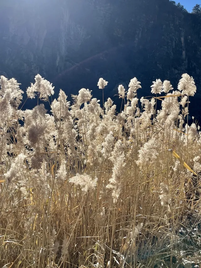 秦皇島11月20號董家長城環線徒步 秦皇島11月20號董家長城環線徒步