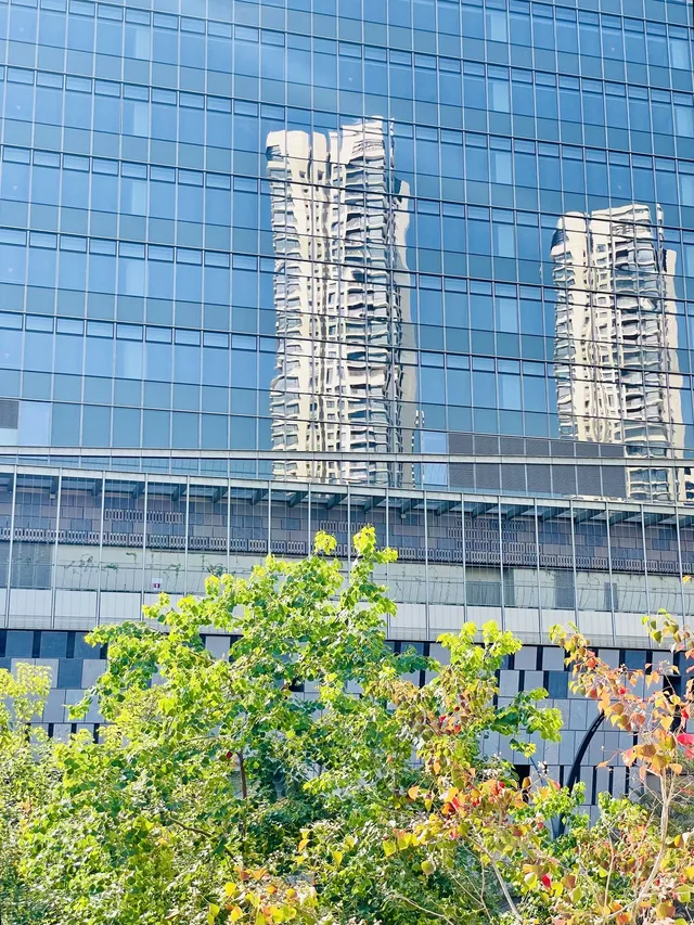 深圳又多一個週末遛娃、海邊徒步的好去處 深圳又多一個週末遛娃、海邊徒步的好去處