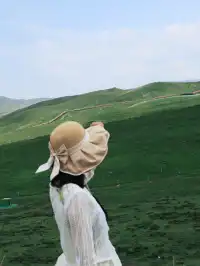 七月的抓喜秀龍草原