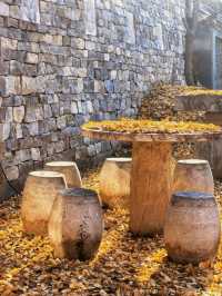 【西安】與千年銀杏來個約定