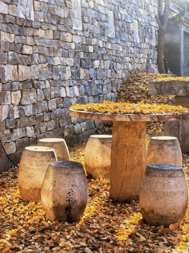 【西安】與千年銀杏來個約定