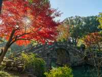 崑山2日遊：虎丘山、拙政園賞園林，周莊古鎮品水鄉