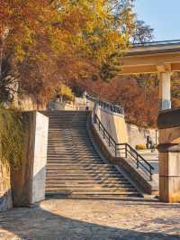 合肥週末全攻略｜廬州煙火+文藝秘境，2天1夜解鎖江淮韻味