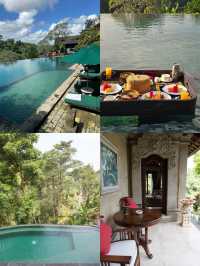 巴厘島烏布 | 皮塔馬哈度假村  靜謐山谷中的美麗珍珠   酒店：皮塔馬哈度假村 | Pit