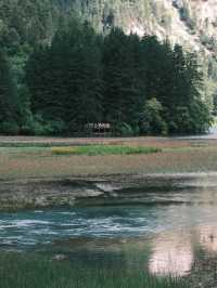 九寨溝歸來不看水,這裡的秋天美到詞窮!