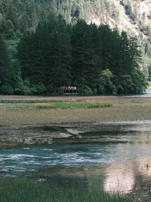 九寨溝歸來不看水,這裡的秋天美到詞窮! 九寨溝歸來不看水,這裡的秋天美到詞窮!