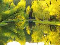 超全攻略!冬日共青森林公園賞秋絕了