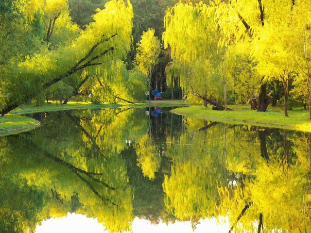 超全攻略!冬日共青森林公園賞秋絕了 超全攻略!冬日共青森林公園賞秋絕了
