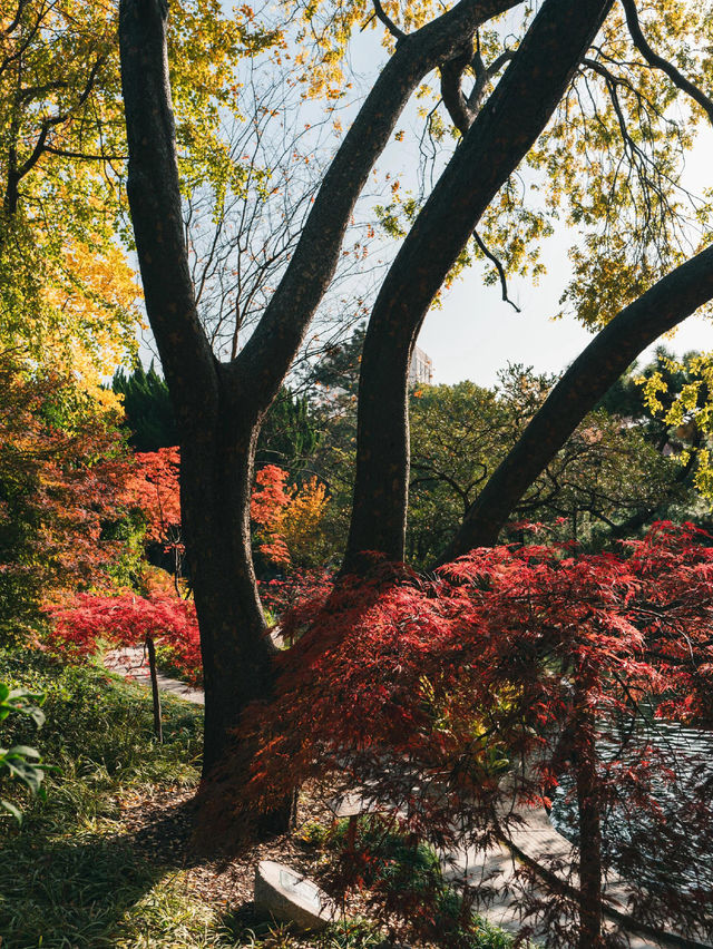 Citywalk | 城市治癒綠洲·上生新所2期探秘 Citywalk | 城市治癒綠洲·上生新所2期探秘