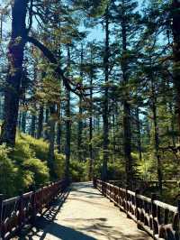 亞洲最大桌山瓦屋山雲海全攻略沒下雪也絕美