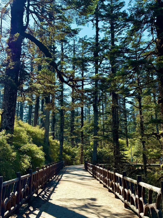 亞洲最大桌山瓦屋山雲海全攻略沒下雪也絕美 亞洲最大桌山瓦屋山雲海全攻略沒下雪也絕美
