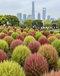 魔都版莫奈花園打卡|四季皆美,打卡不踩雷