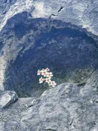 十三朝古都慢遊指南