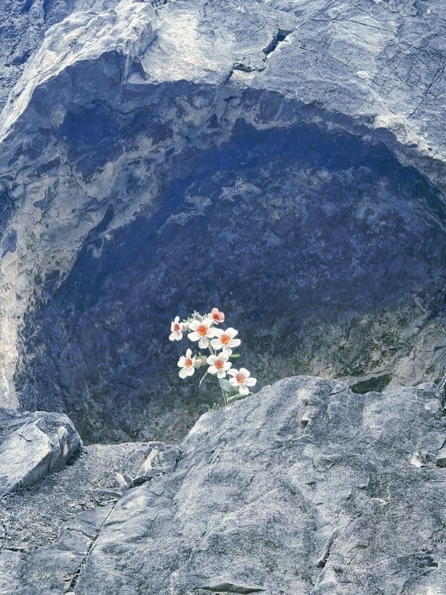 十三朝古都慢遊指南 十三朝古都慢遊指南