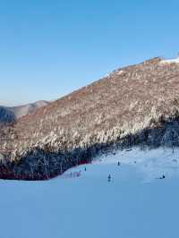 北大湖滑雪避坑指南 美景天堂≠新手友好,慎入!