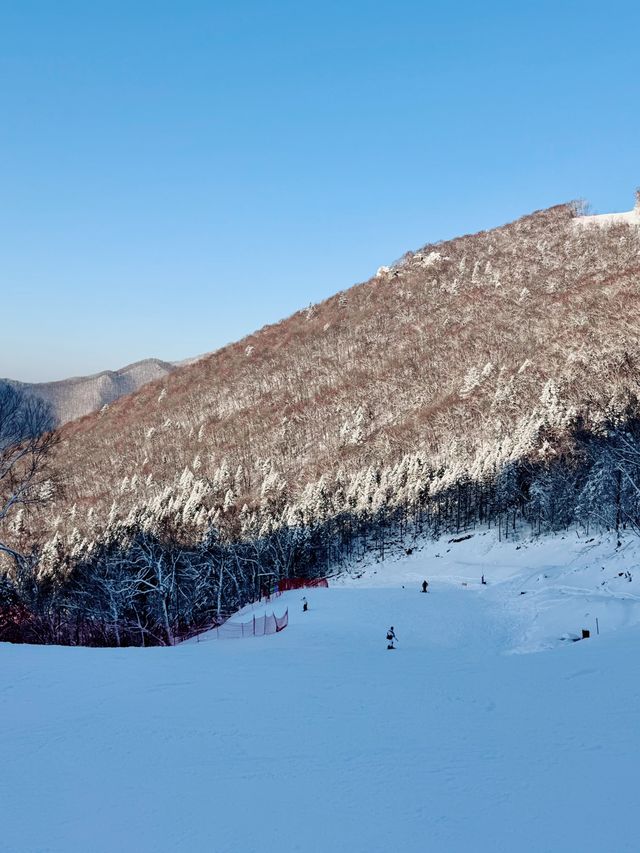 北大湖滑雪避坑指南 美景天堂≠新手友好,慎入! 北大湖滑雪避坑指南 美景天堂≠新手友好,慎入!
