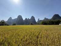 趕一場山水之約，廣西等你來野～