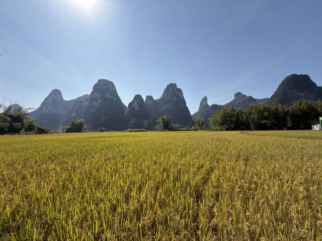 趕一場山水之約，廣西等你來野～