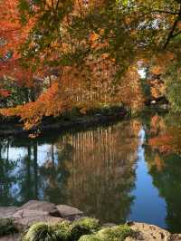 東郊秘境直出！比西郊美10倍的live級秋日畫冊