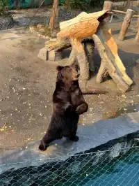 玩瘋了 | 兩天一夜龍之夢也太快樂了吧！