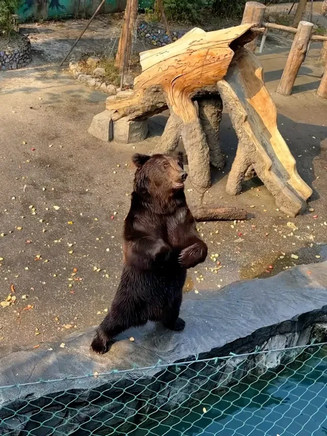 玩瘋了 | 兩天一夜龍之夢也太快樂了吧！