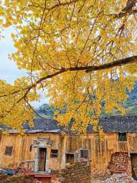 桂林玩了5天冬天來真的值哭了