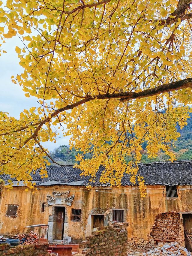 桂林玩了5天冬天來真的值哭了