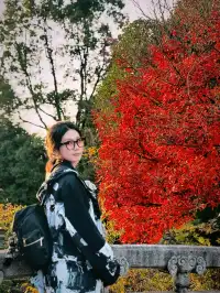 九華山的磁場真的太強了