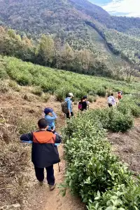 山野童行丨烏龍古道+八都岕一日暴走攻