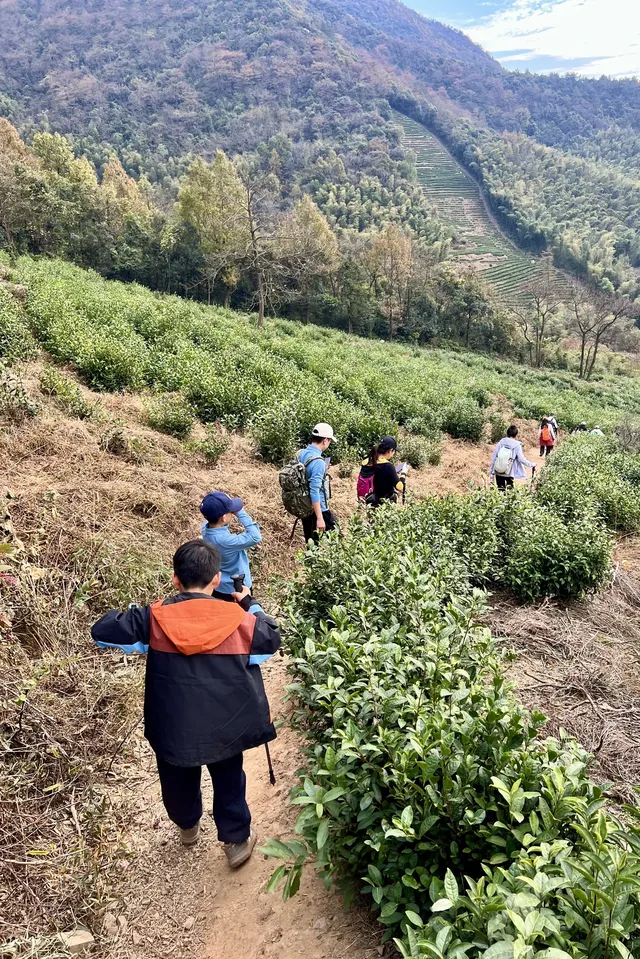 山野童行丨烏龍古道+八都岕一日暴走攻